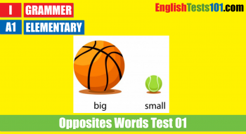 Opposite Word Test 01