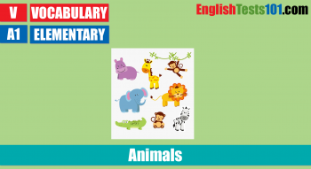 Animals Picture Vocabulary Test (Beginner)