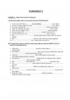 Simple Past and Past Continuous #02