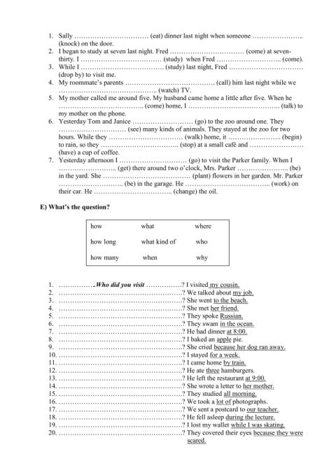 Simple Past and Past Continuous #01