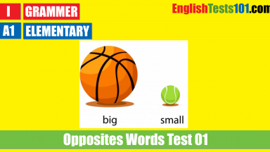 Opposite Word Test 01