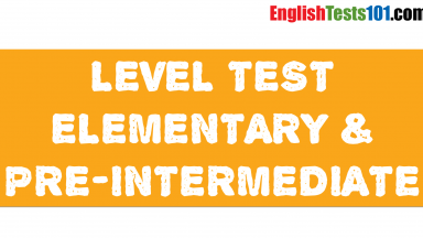 Elementary & Pre-Intermediate Level Test 12